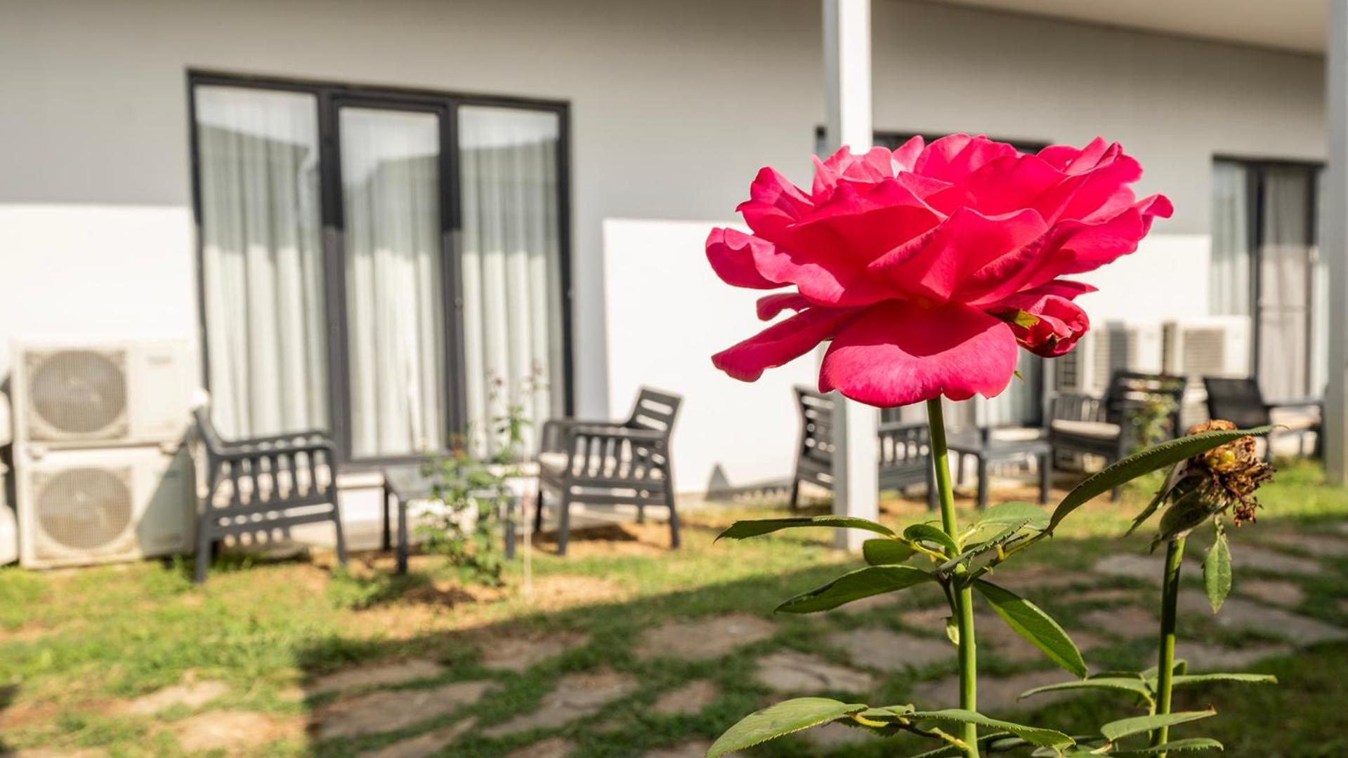 Yalikoey Deniz Otel Istanbul Yalikoy ภายนอก รูปภาพ